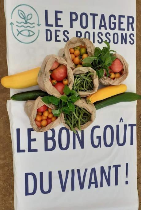Maison De Campagne, Bulle De Verdure Montbron Ngoại thất bức ảnh
